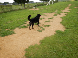 DSCN0389