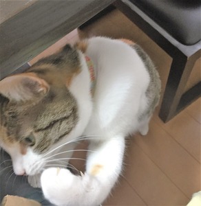 20160124_044822910_iOS