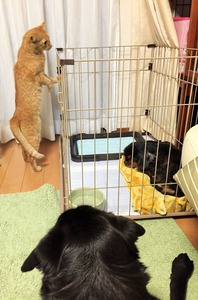 20150321_140853719_iOS
