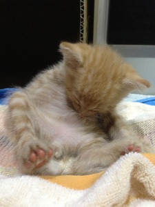 20130911_135532439_iOS