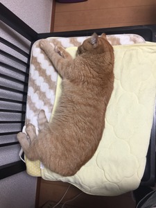 20160118_021355760_iOS