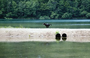 DSC_2854 (2)