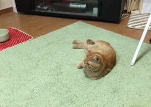 20150127_134148161_iOS (2)