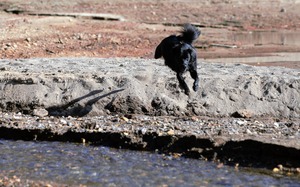 DSC_8758 (2)