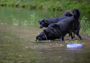 DSC_1468 (2)