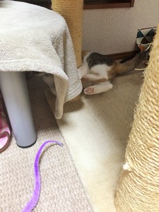20150424_162006794_iOS (2)