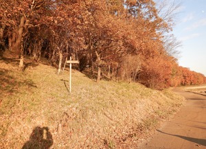DSCN0714