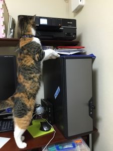 120503