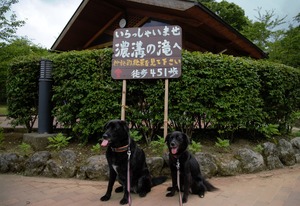 DSC_1237 (2)