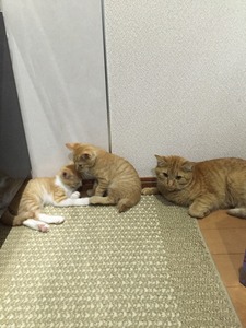 20150901_101902978_iOS