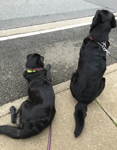 20150603_090212659_iOS (2)