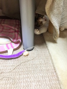 20150424_162026556_iOS (2)