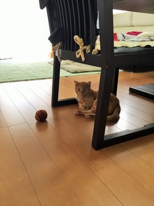 20150312_013318991_iOS