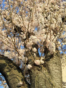 20150330_073121420_iOS (3)