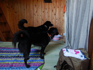 DSCN0511