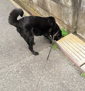 20150320_075544445_iOS