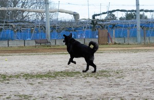 DSC_2206 (2)
