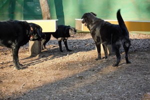 DSC_2283 (2)