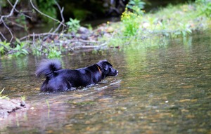 DSC_1378 (2)