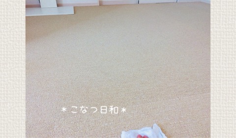9333CFB9-2B0A-41FC-8B2B-35CB2F354CF7