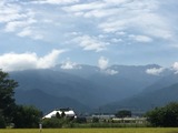 IMG_1504
