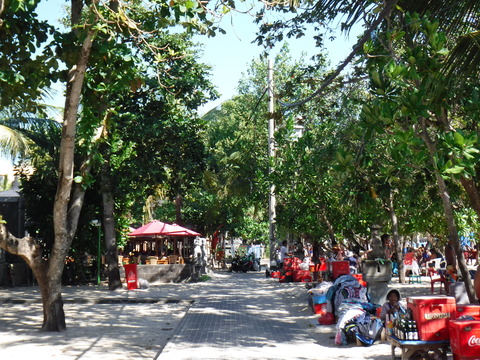 DSCF0031