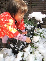 雪4