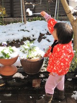 雪3