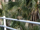 20110120d