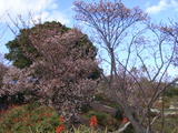 20110120a