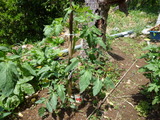 2011 5 25a