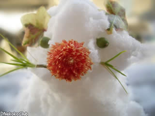 d050202a.jpg