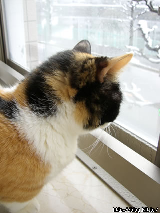 d051206c.jpg
