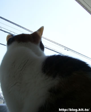 d060416g.jpg