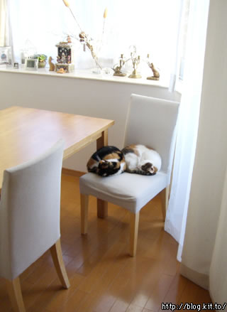 d051206f.jpg