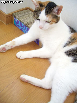 d050719h.jpg