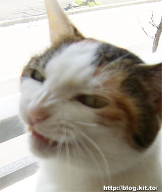 d060416h.jpg