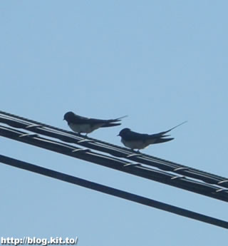 d060416f.jpg