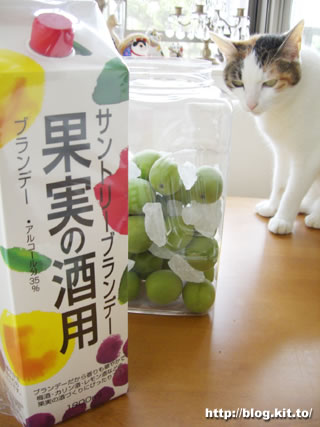 d060611d.jpg