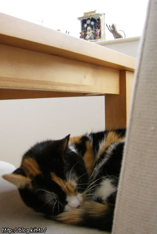 d051109f.jpg
