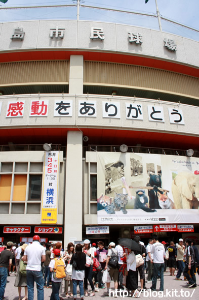 市民球場