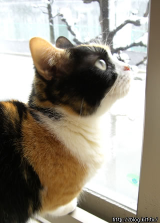 d051206a.jpg
