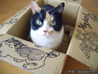 d050721c.jpg