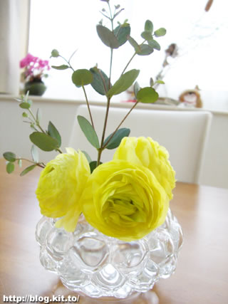 d060324a.jpg