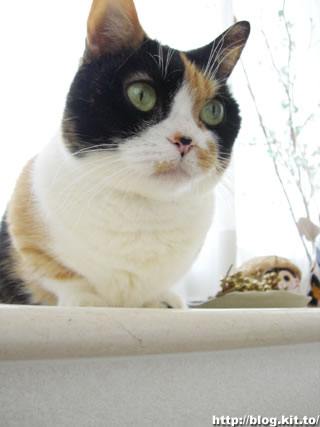 d060416c.jpg