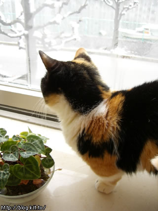 d051206b.jpg