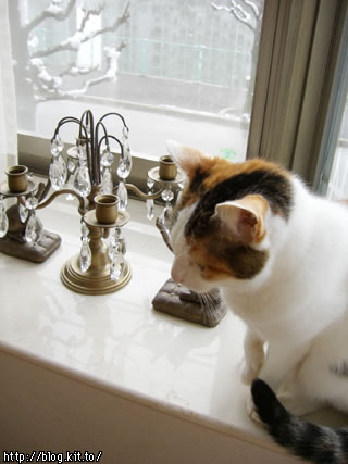 d051206e.jpg