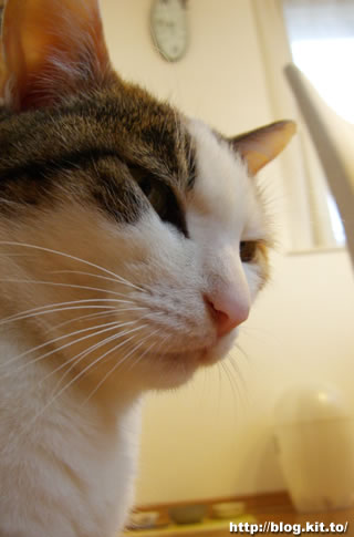 d060413h.jpg
