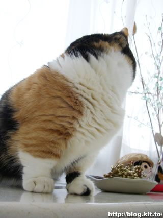 d060416e.jpg