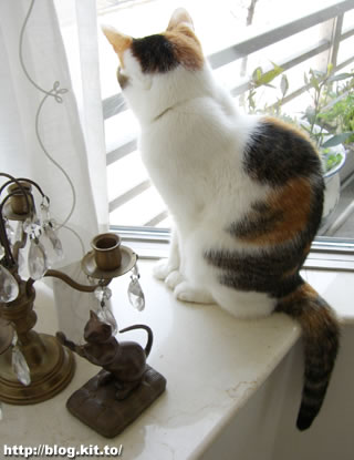 d060416k.jpg